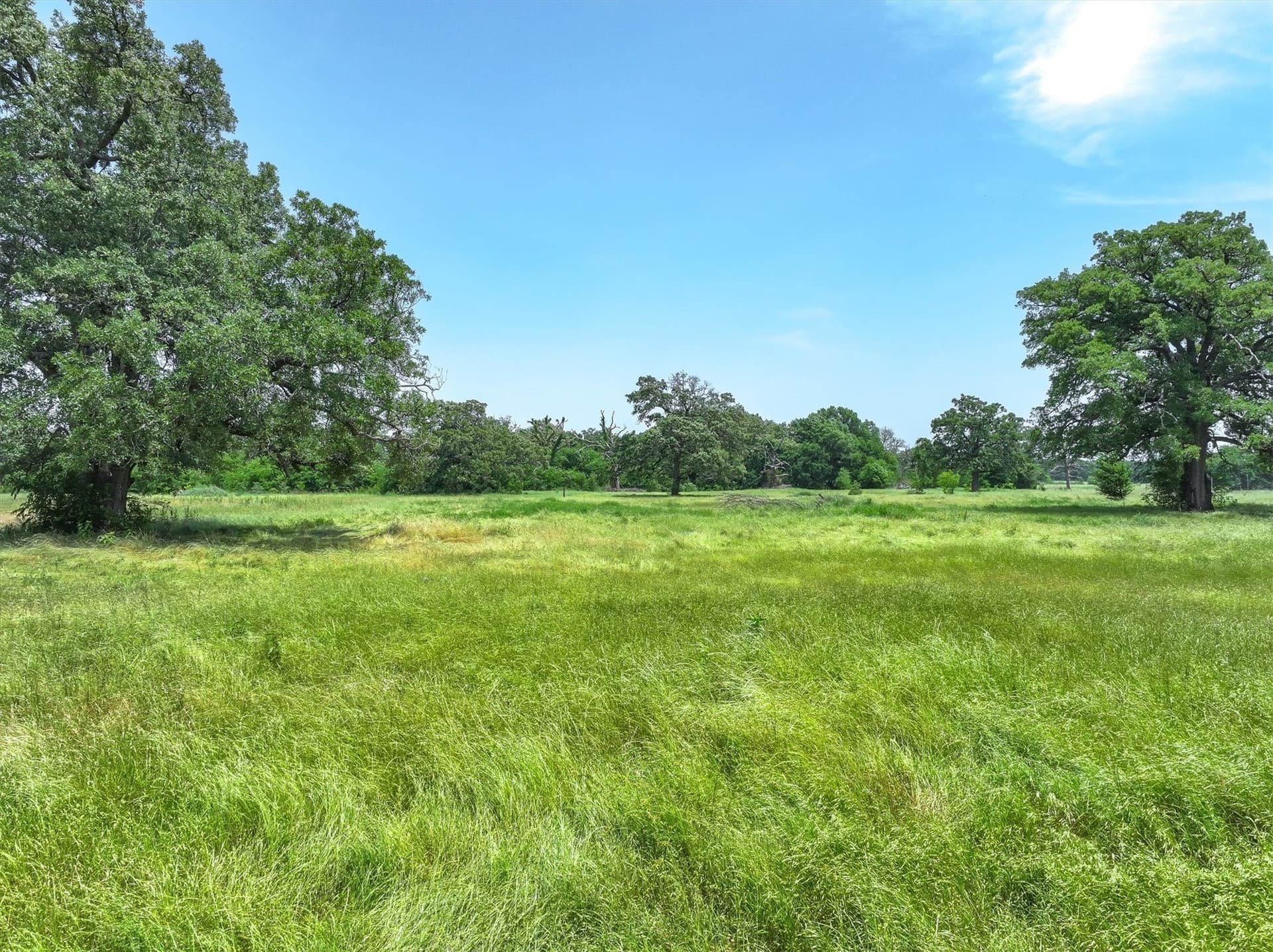 3 acres in Hopkins County gallery image 4