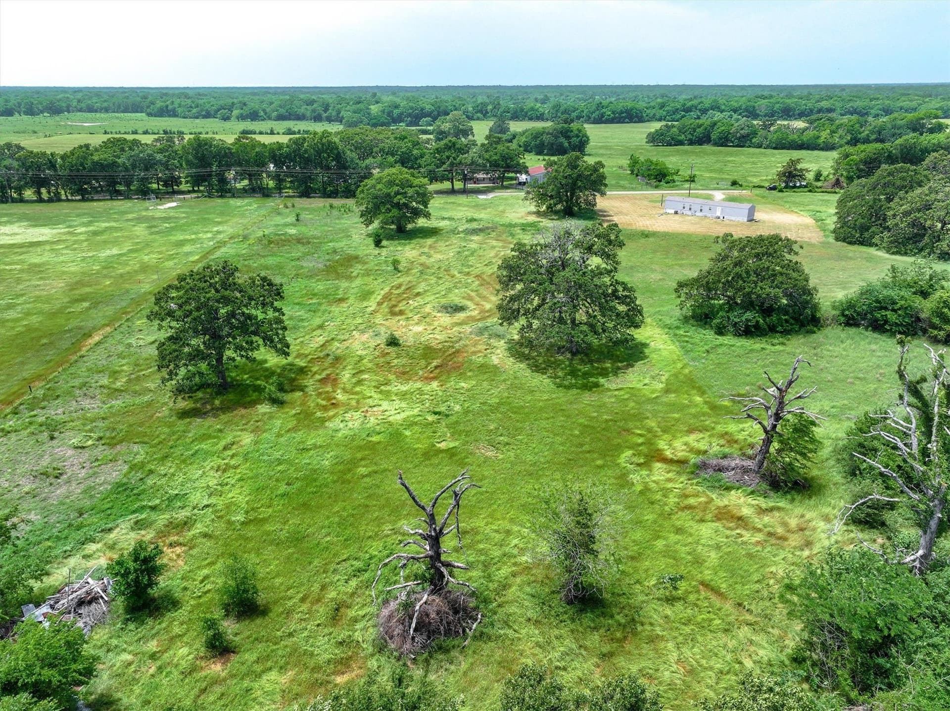 3 acres in Hopkins County - photo 6