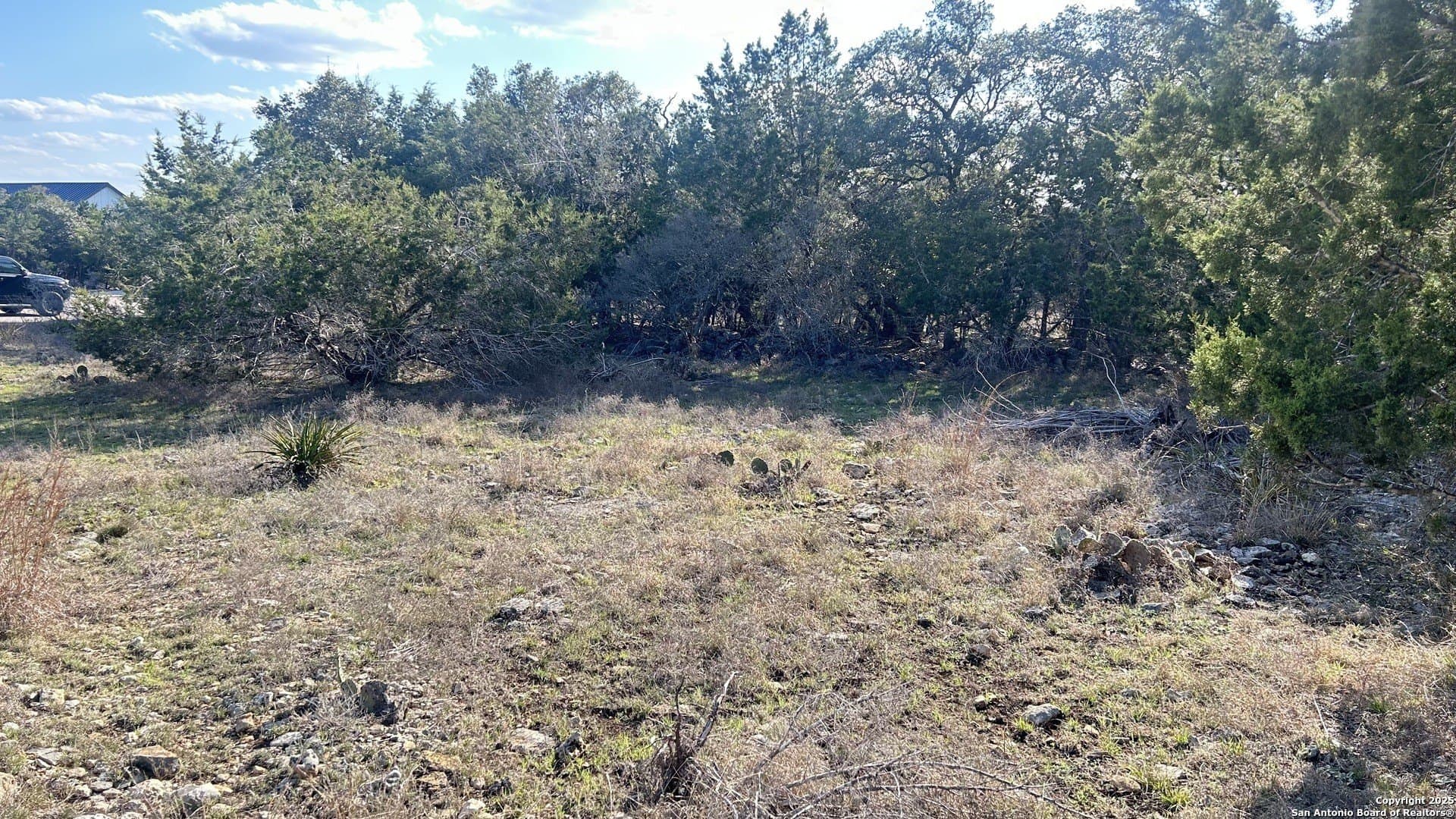 0.19 acres in Blanco County gallery image 4