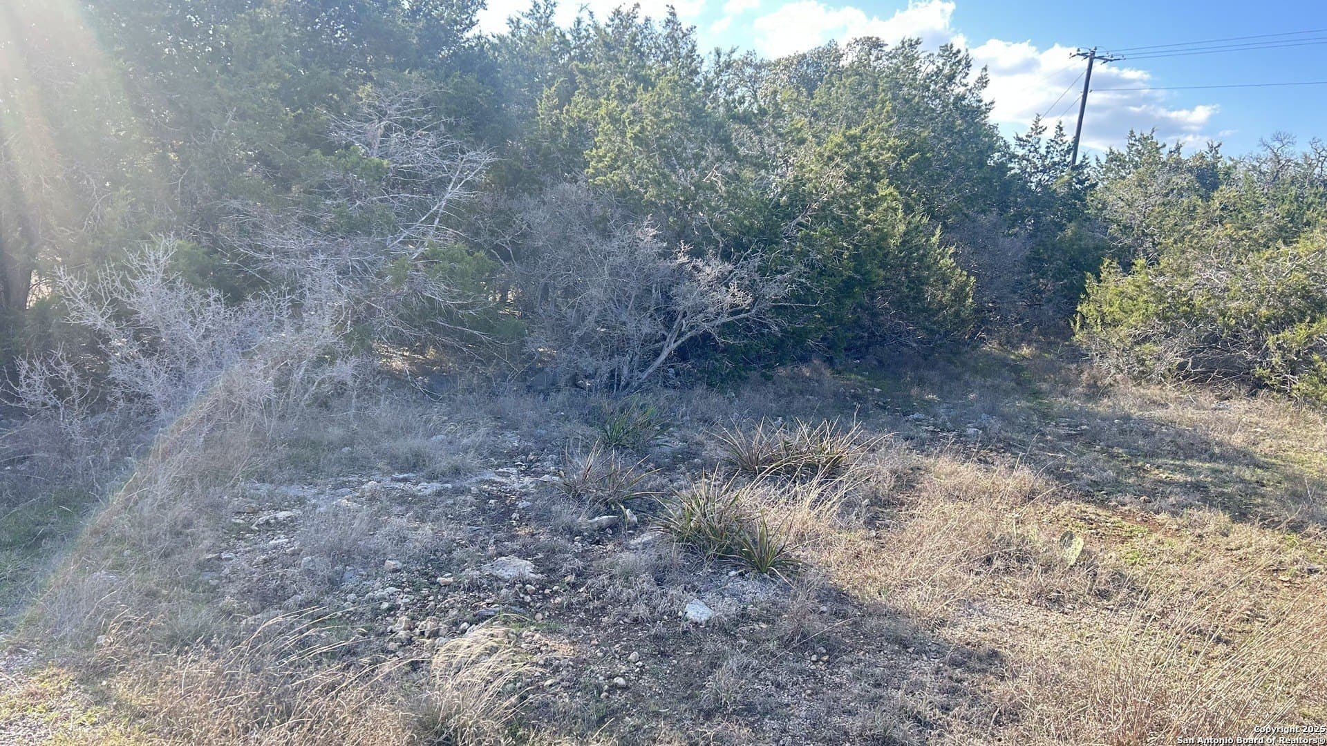0.19 acres in Blanco County - photo 6