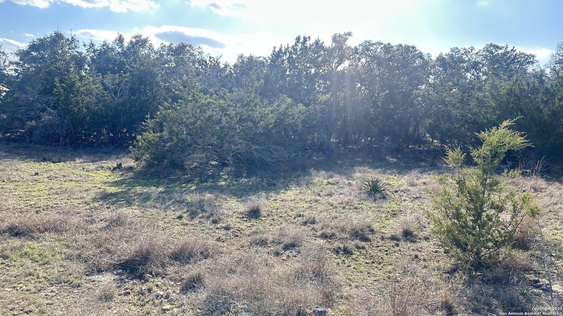 0.19 acres in Blanco County gallery image 3