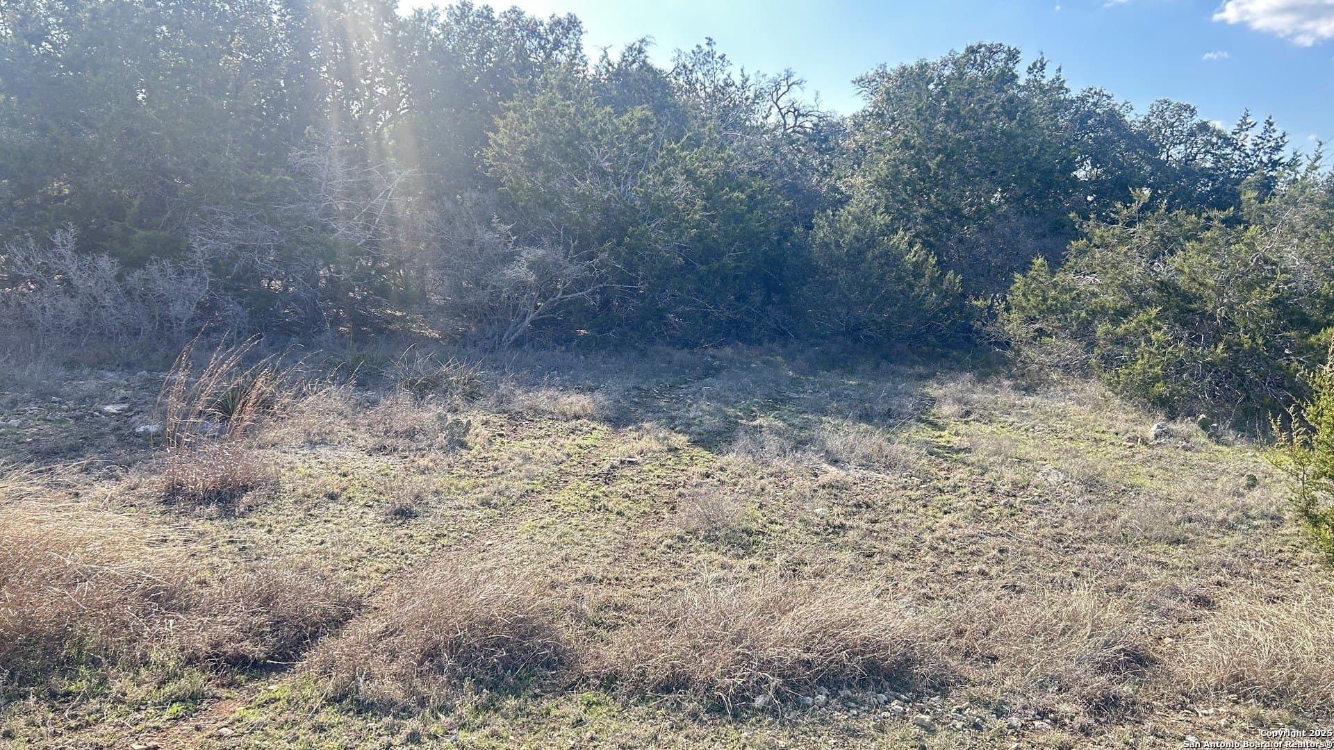 0.19 acres in Blanco County gallery image 2