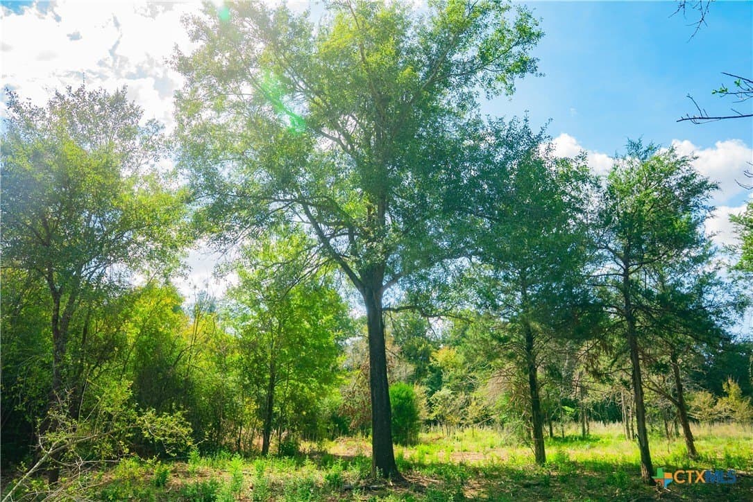 4.92 acres in Robertson County - photo 6