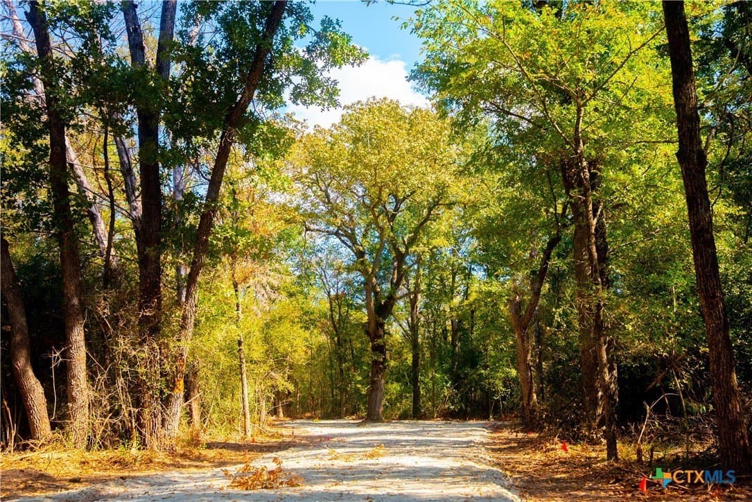 4.92 acres in Robertson County - photo 3