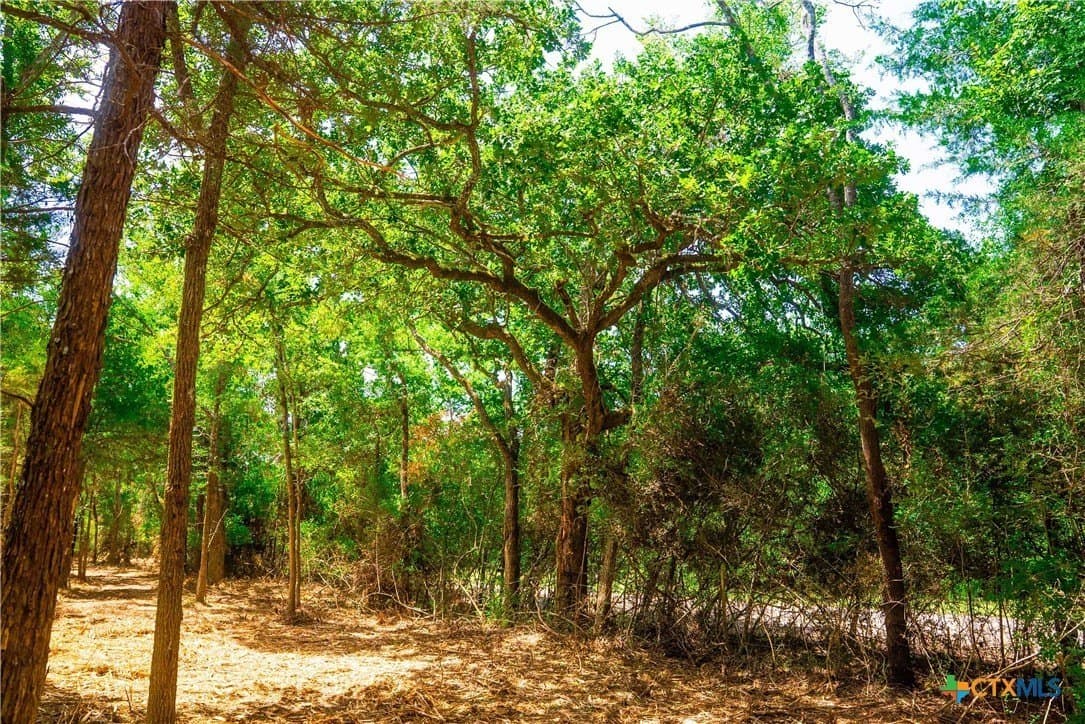 4.92 acres in Robertson County - photo 8