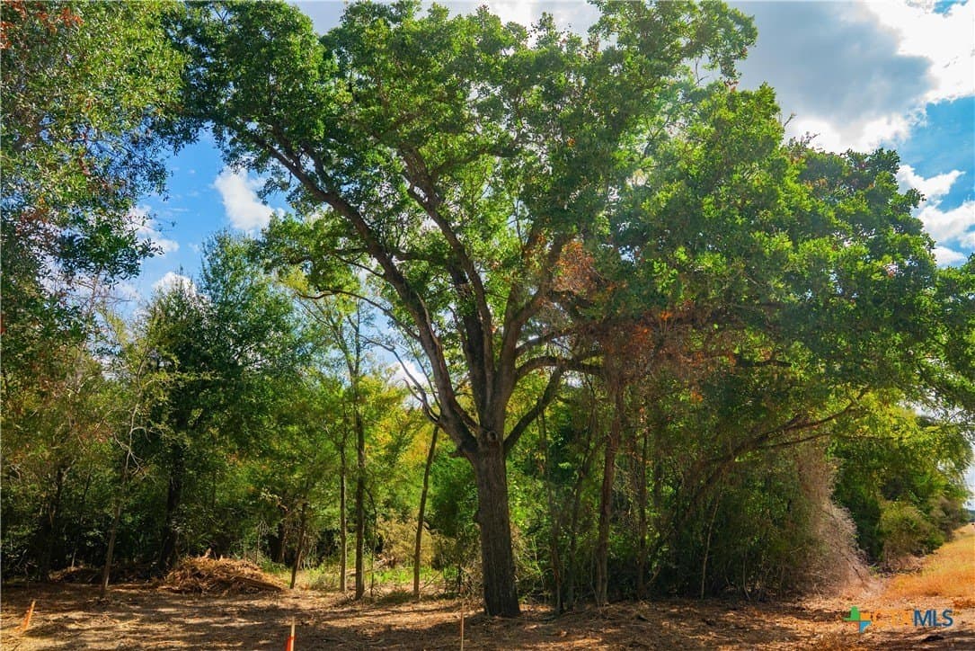 4.92 acres in Robertson County - photo 2