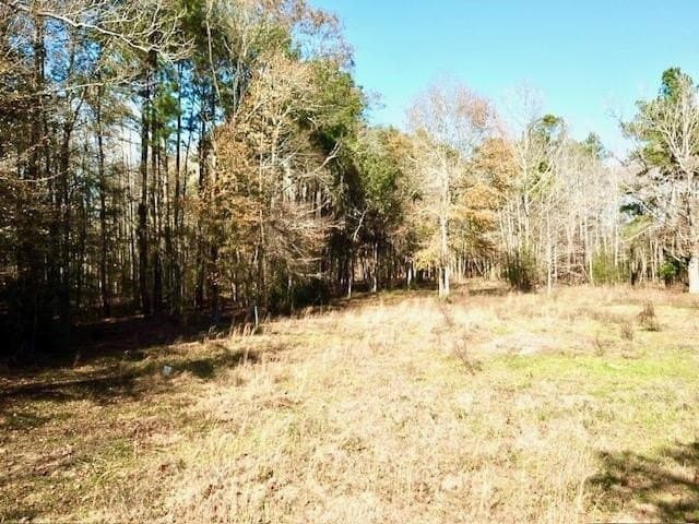 0 acres in Tyler County featured view