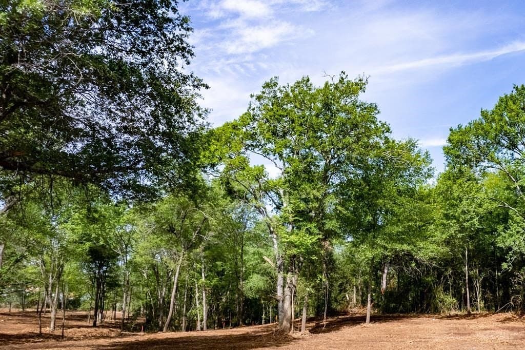 2.96 acres in ANDERSON County - photo 18