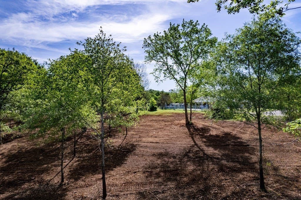 2.96 acres in ANDERSON County - photo 9