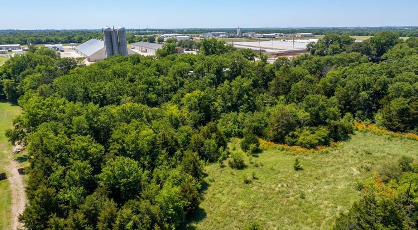 3 acres in Dallas County gallery image 2