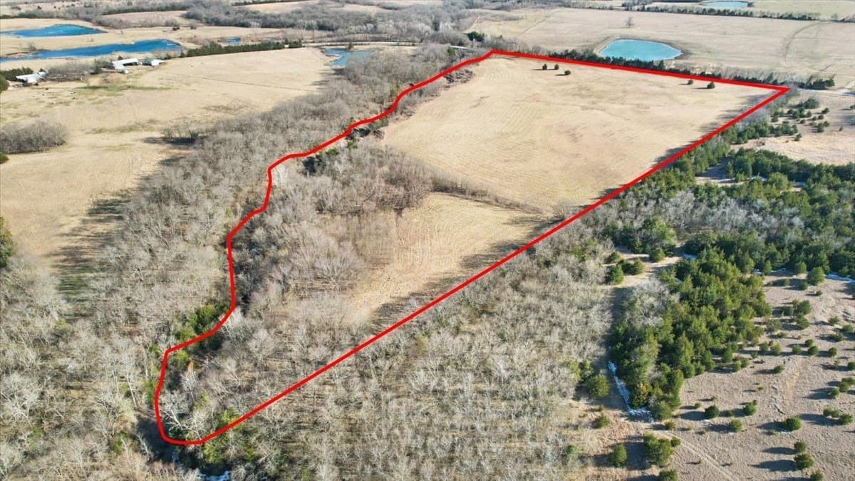 28.51 acres in Lamar County gallery image 4
