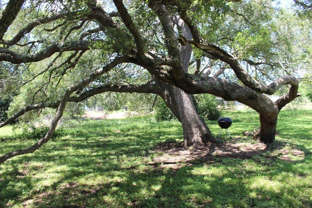 0.12 acres in Palacios Area County gallery image 3