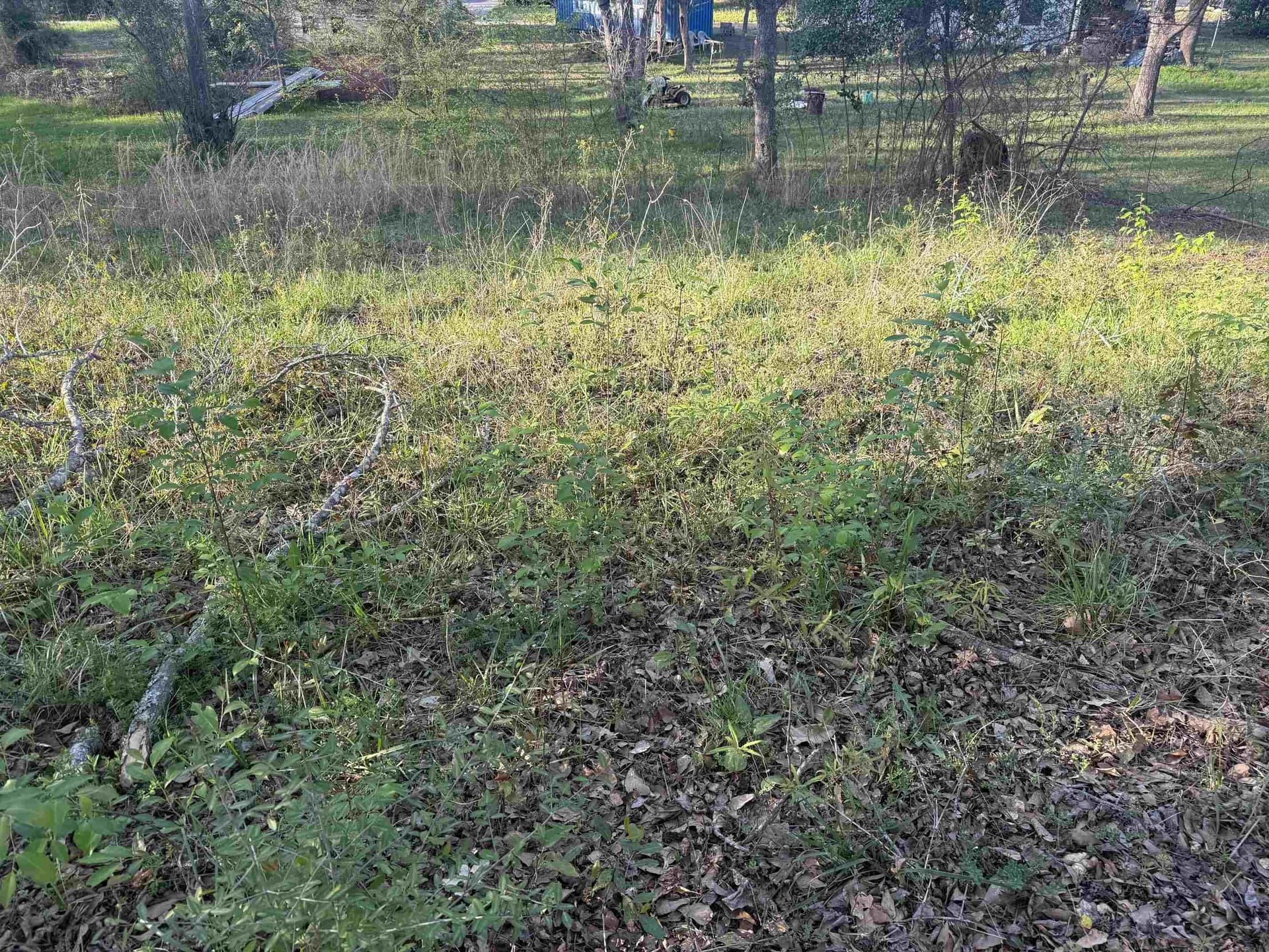 0.14 acres in Upshur County - photo 4