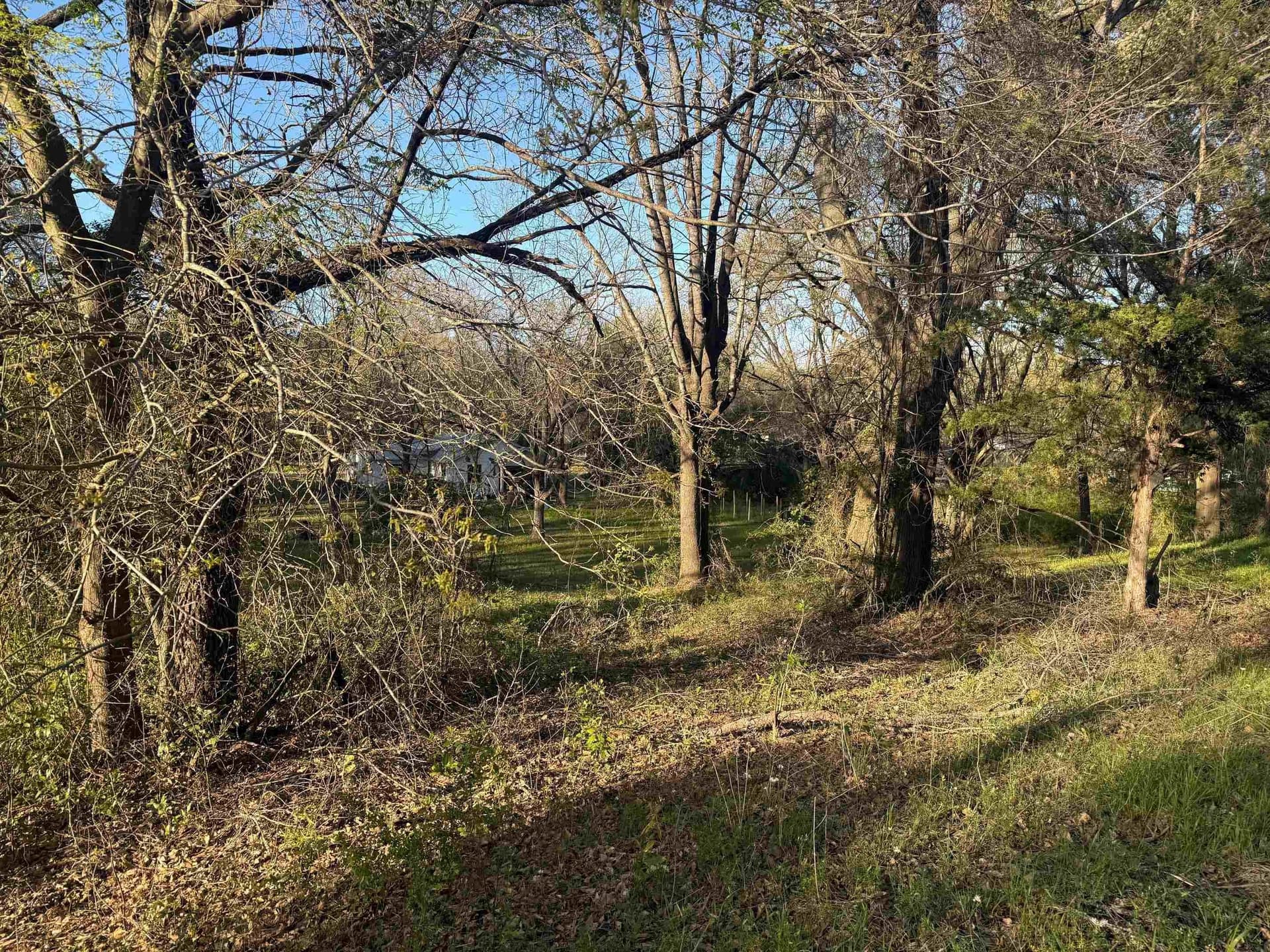 0.14 acres in Upshur County - photo 2