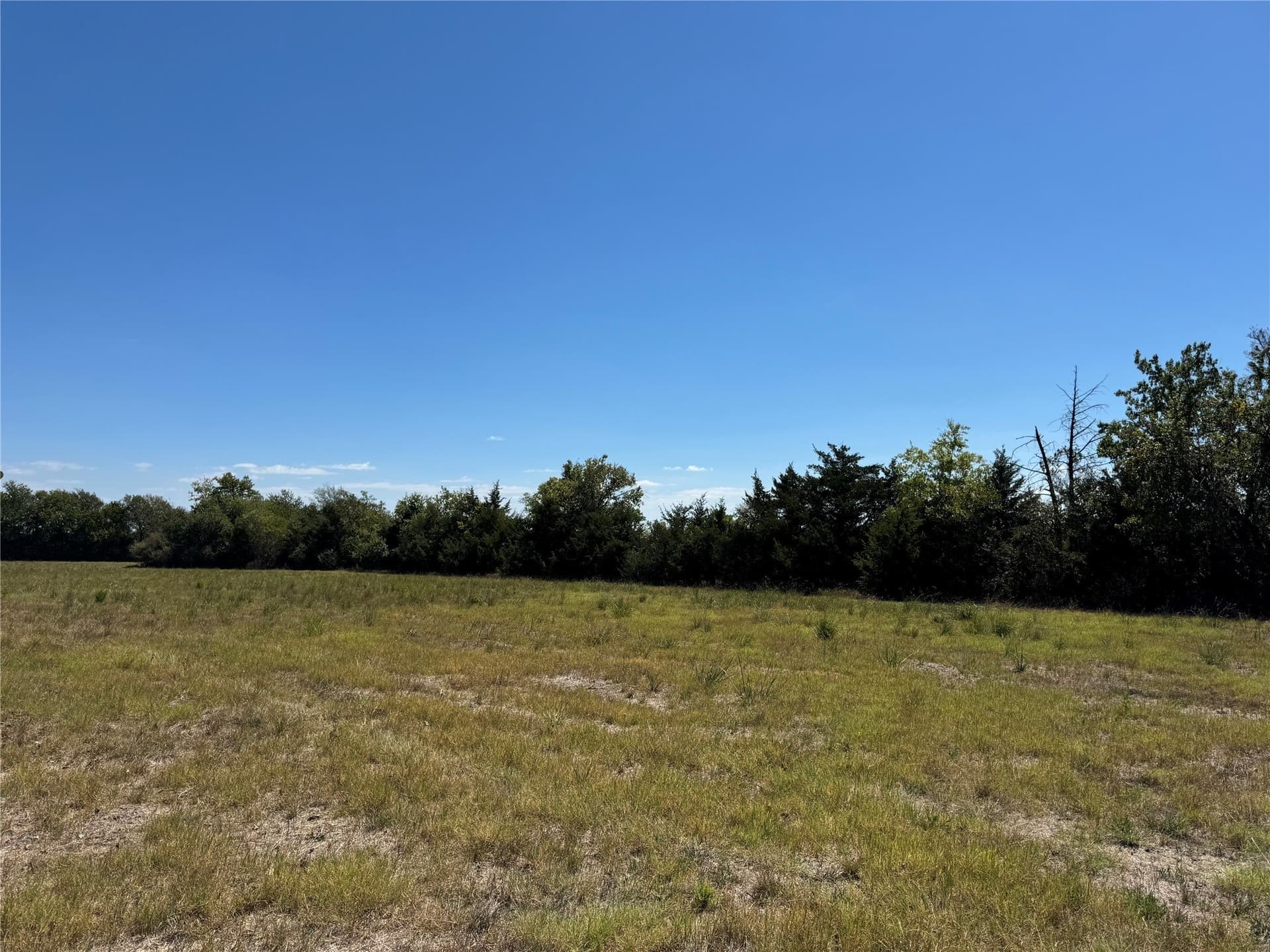 18.02 acres in Lamar County - photo 8