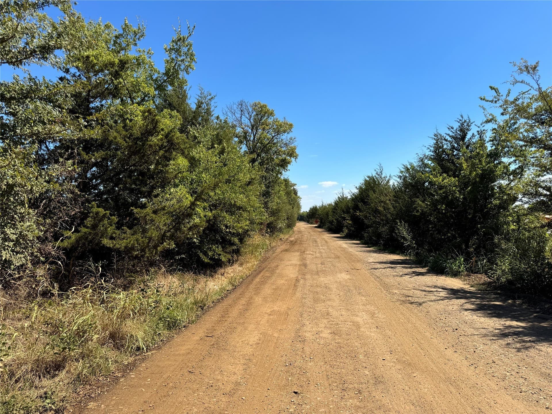 18.02 acres in Lamar County - photo 3