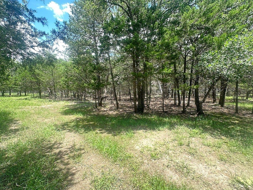 5.5 acres in Fayette County - photo 6