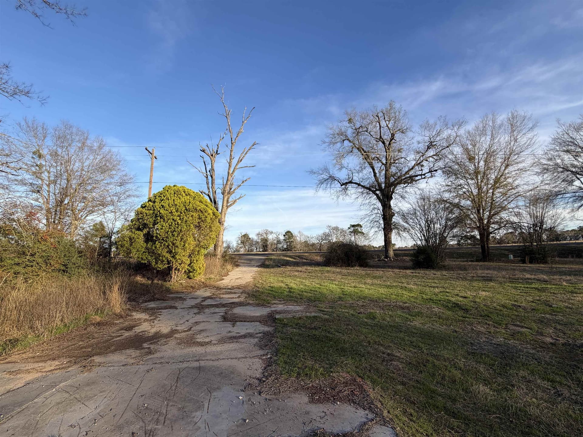 2.75 acres in Gregg County gallery image 2