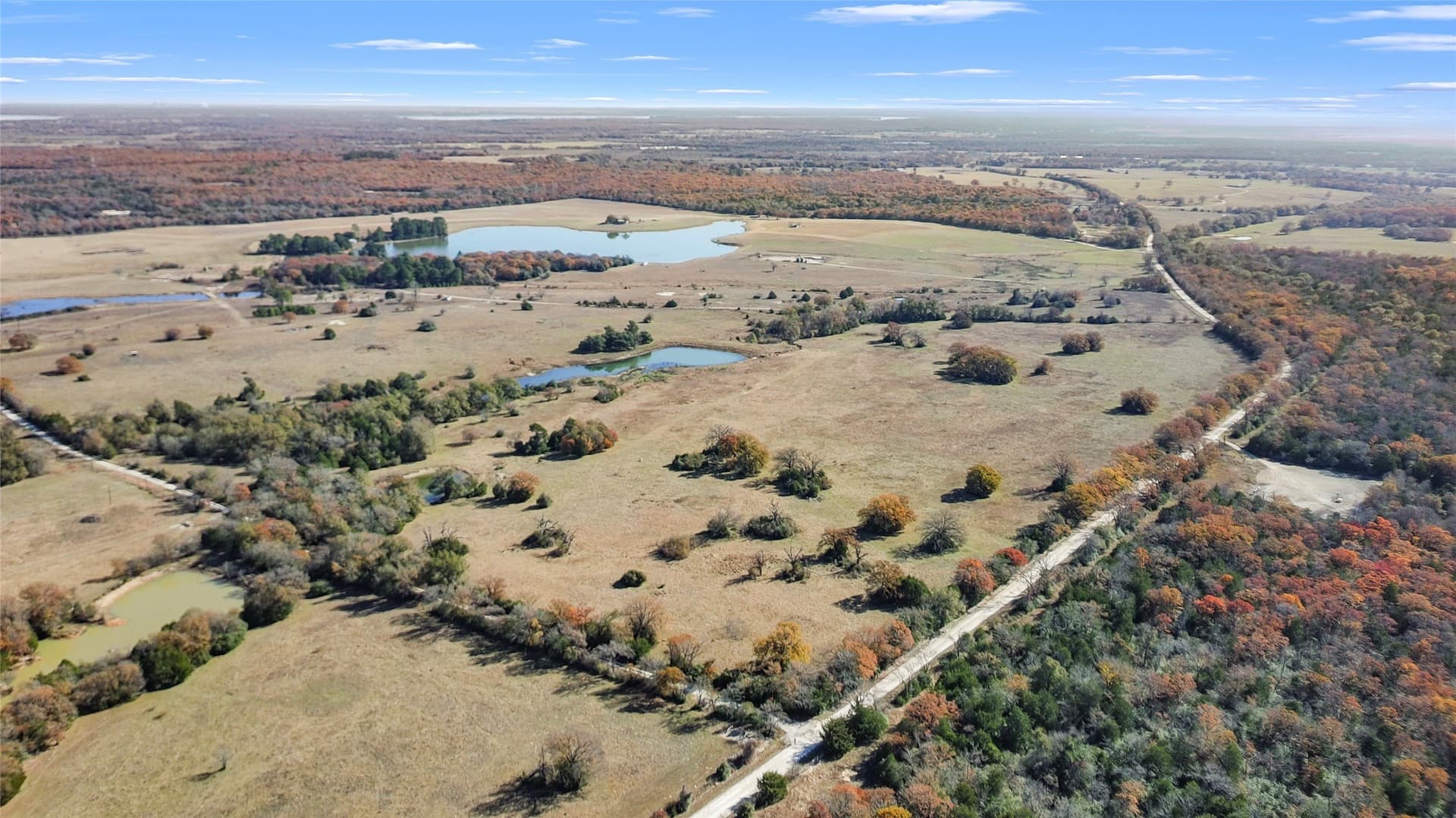 151.6 acres in Limestone County - photo 13