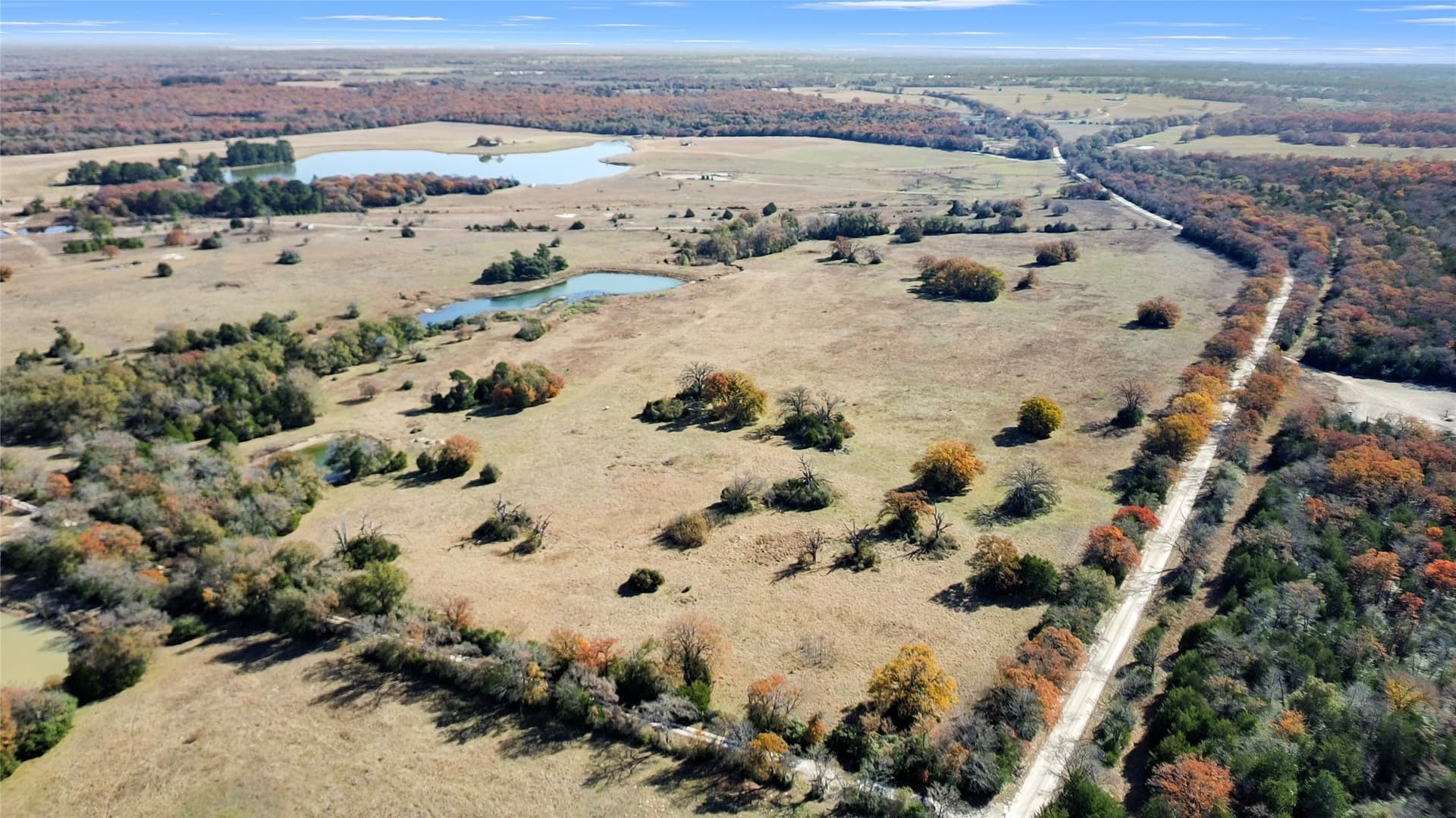 151.6 acres in Limestone County - photo 21