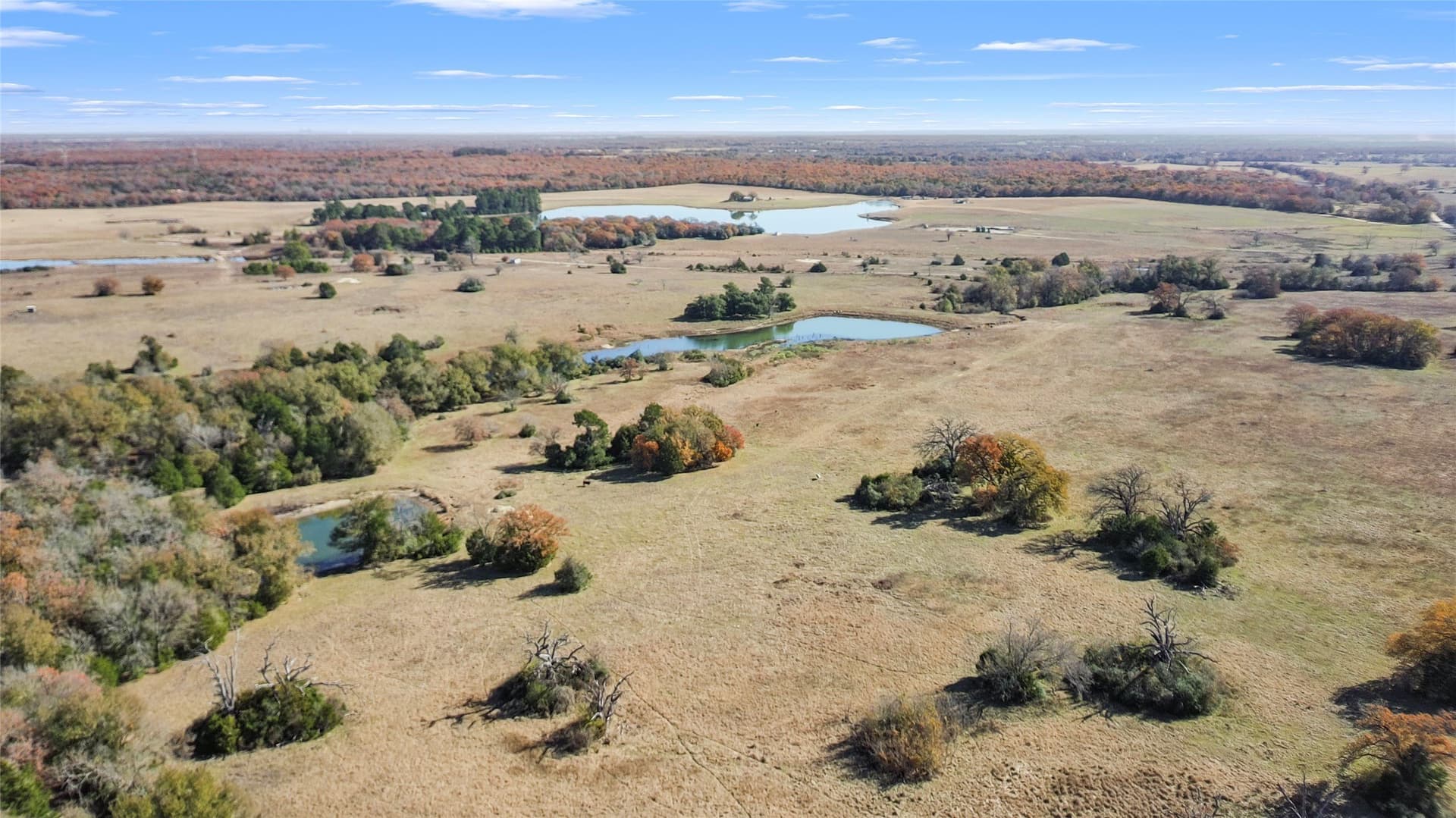 151.6 acres in Limestone County - photo 22