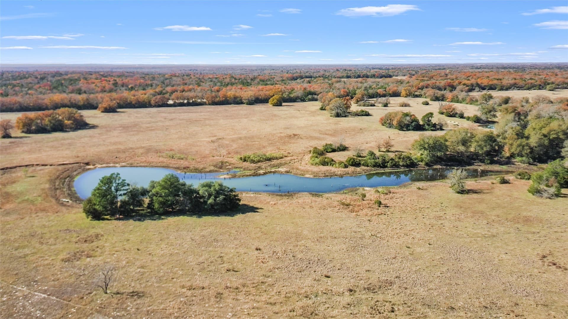 151.6 acres in Limestone County - photo 26