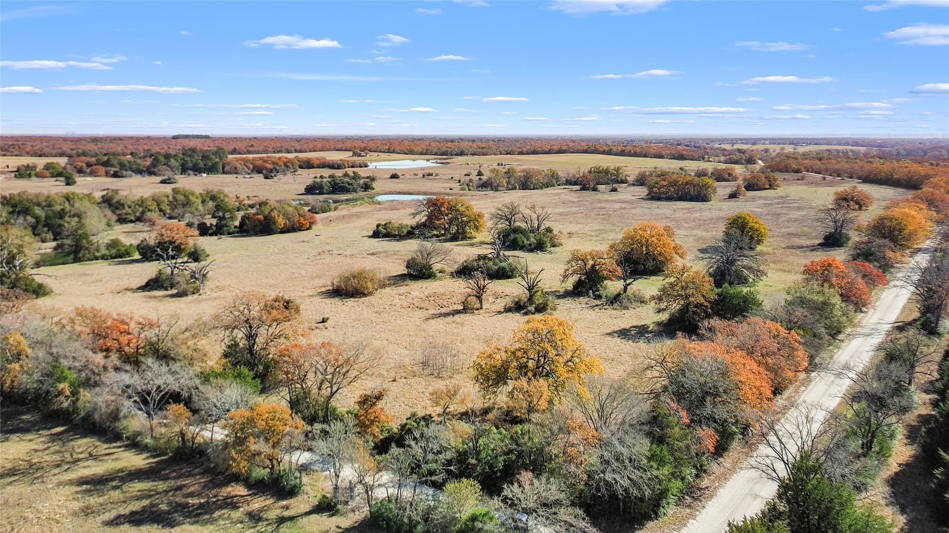 151.6 acres in Limestone County - photo 9