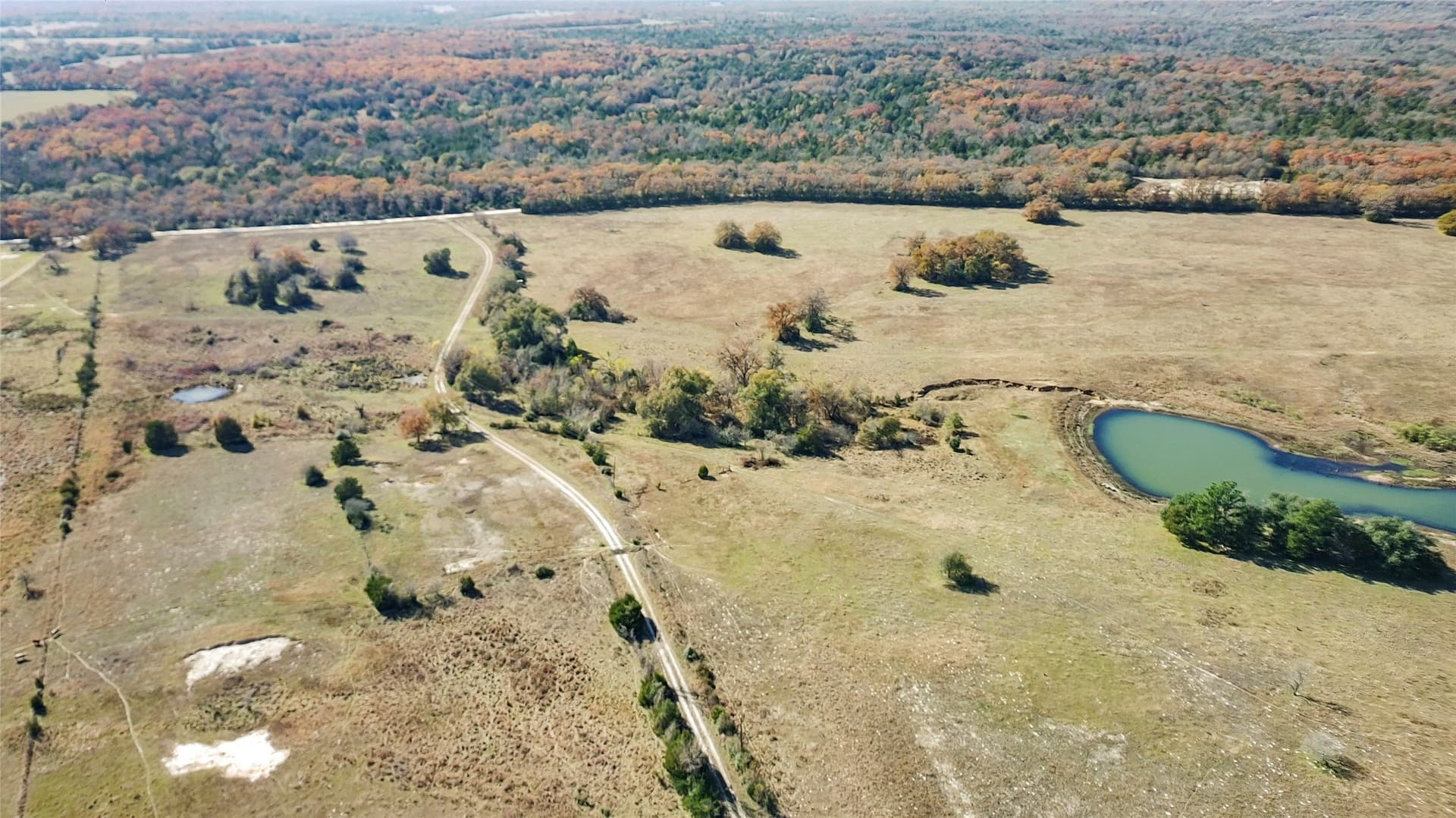 151.6 acres in Limestone County - photo 37