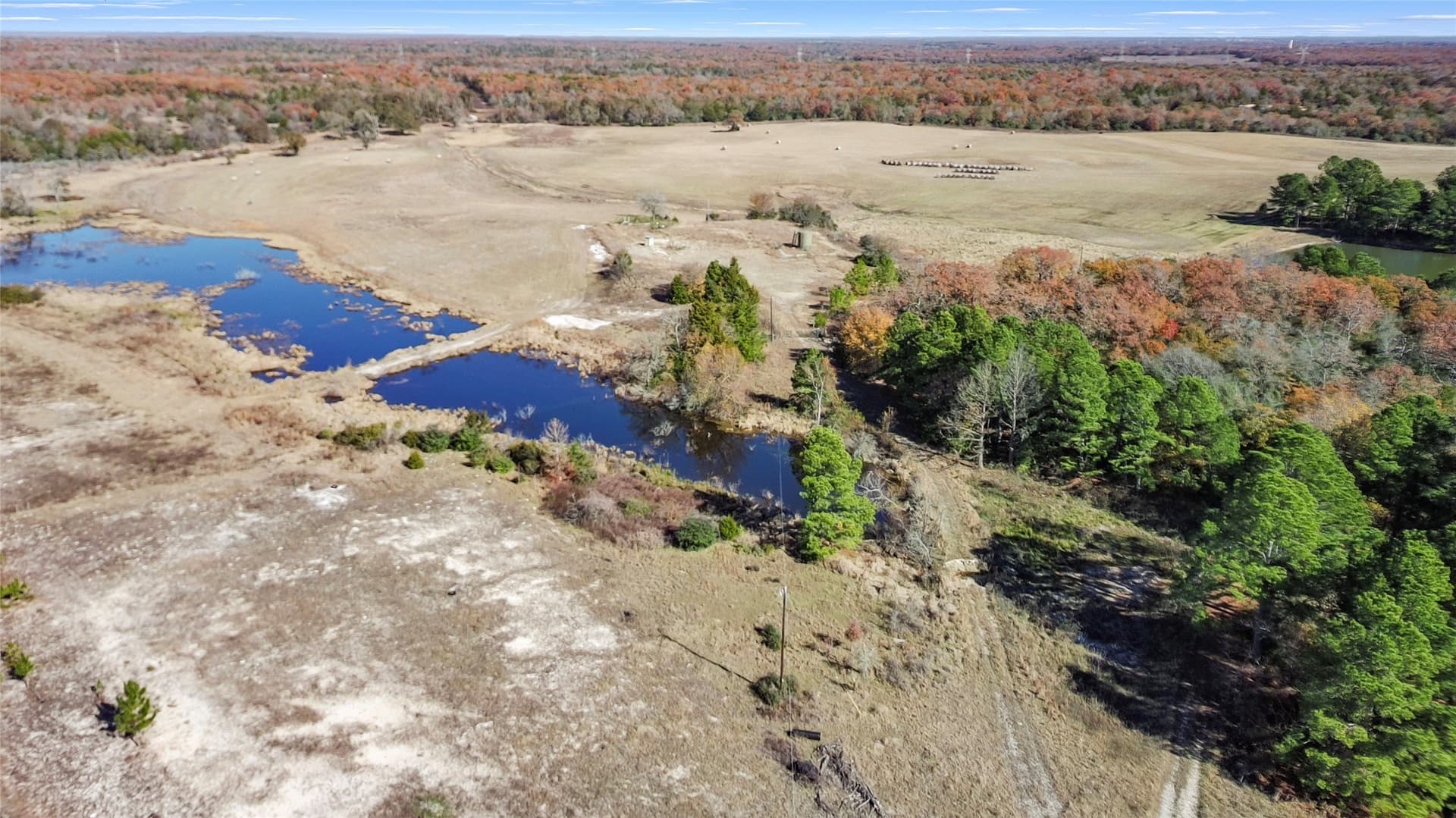 151.6 acres in Limestone County - photo 12