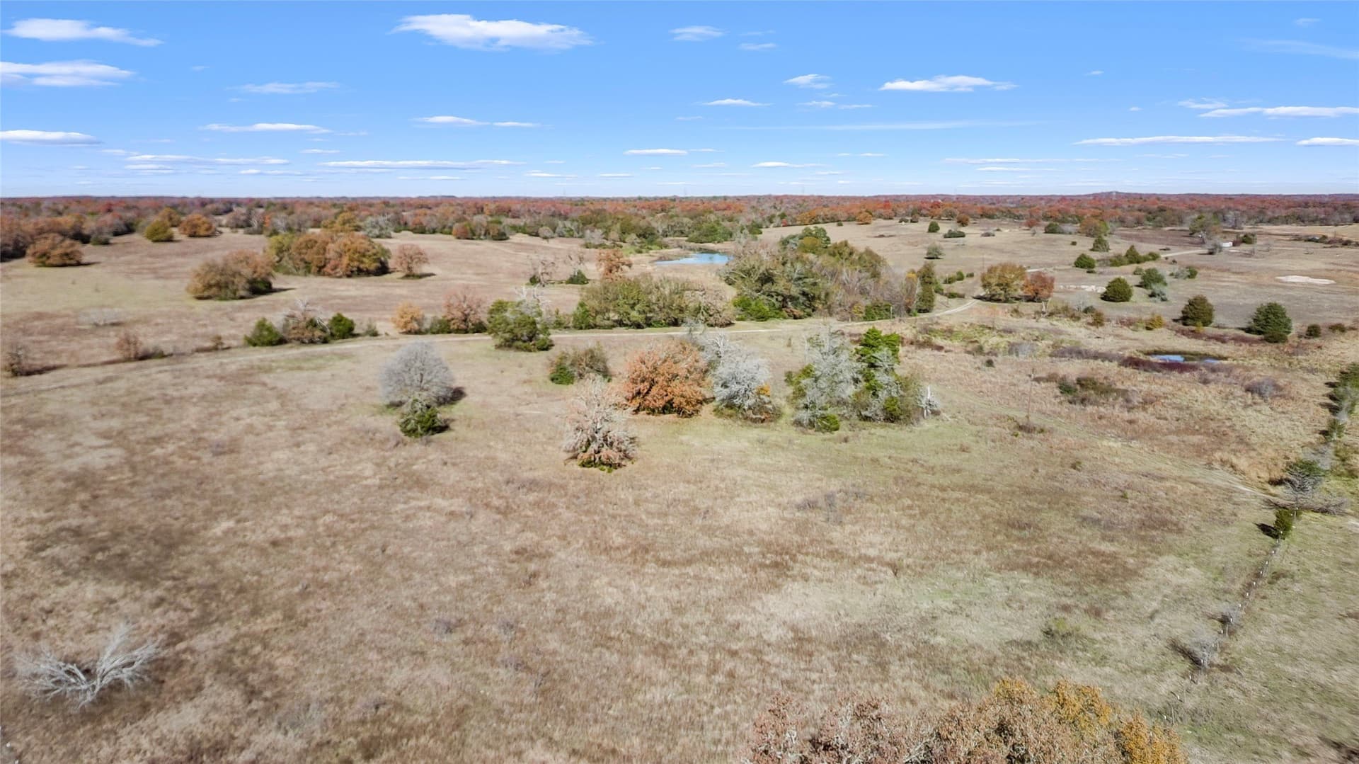 151.6 acres in Limestone County - photo 20