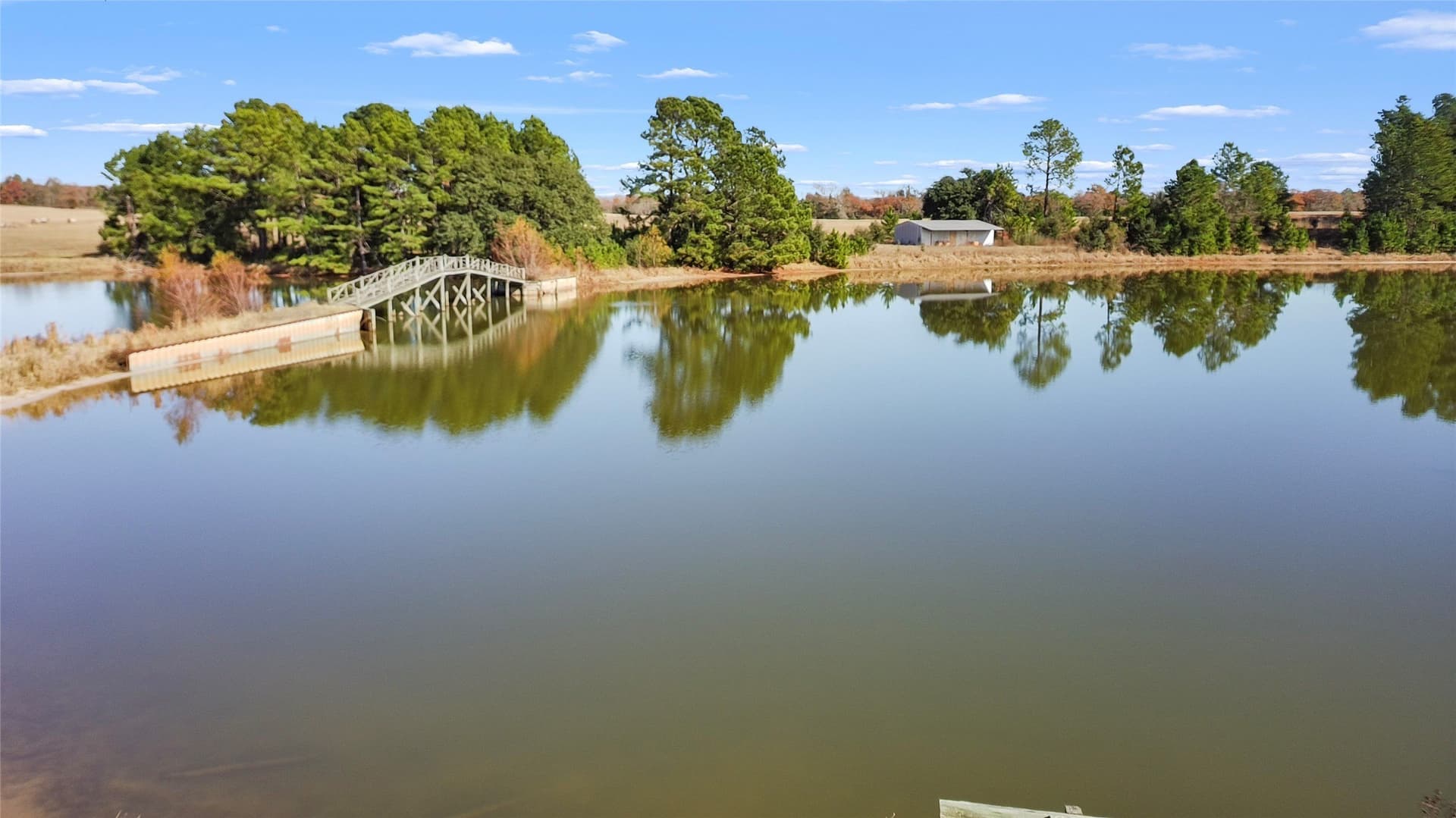 151.6 acres in Limestone County - photo 4