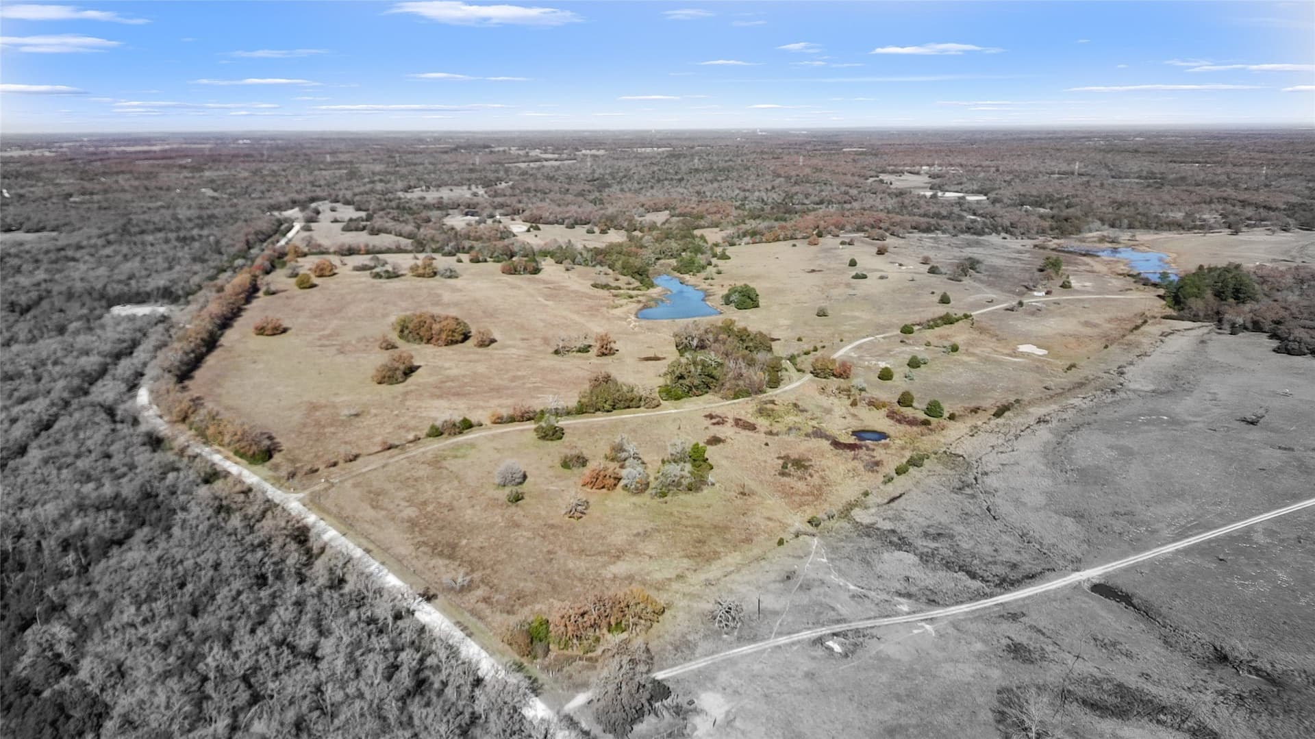 151.6 acres in Limestone County - photo 10