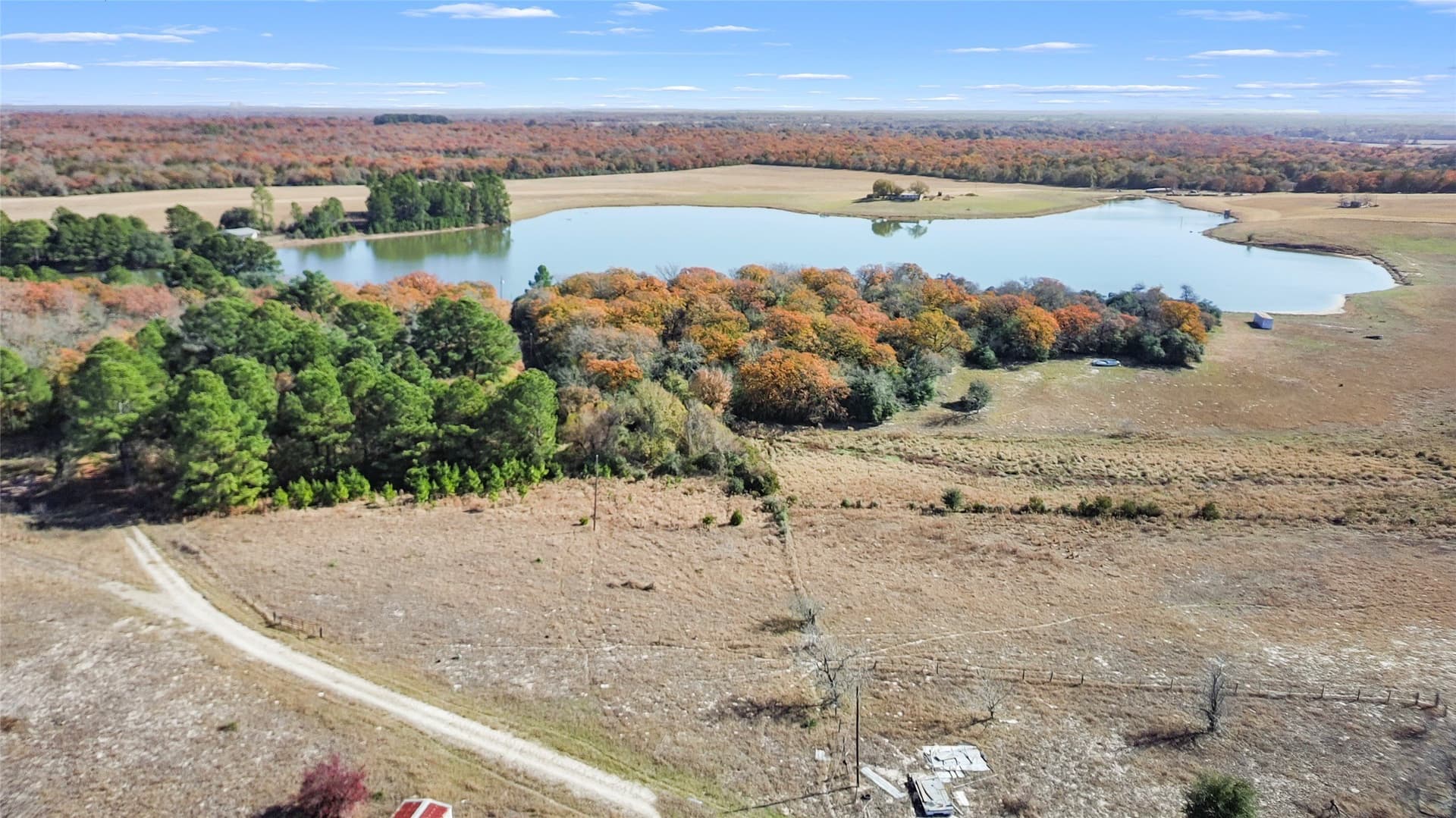 151.6 acres in Limestone County - photo 19