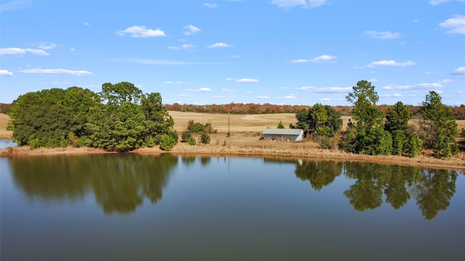 151.6 acres in Limestone County - photo 3