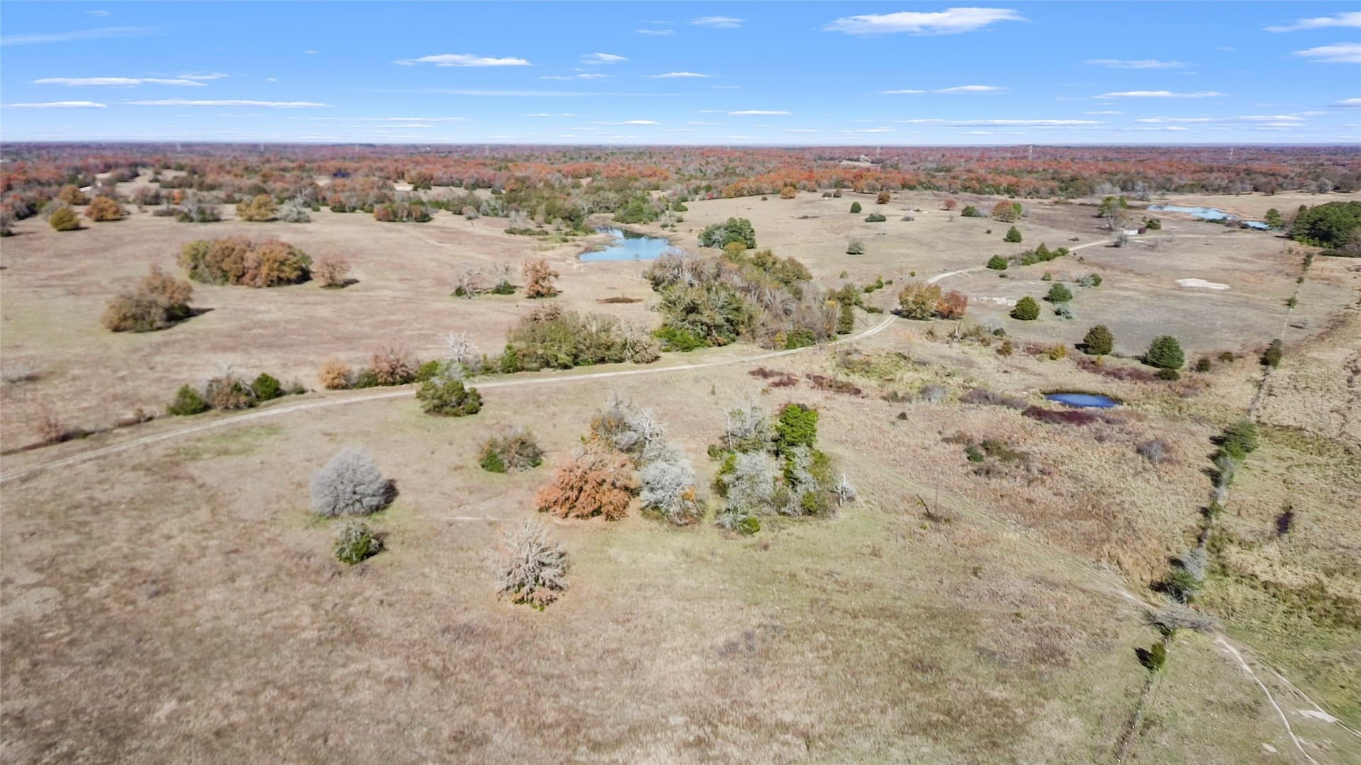 151.6 acres in Limestone County - photo 11
