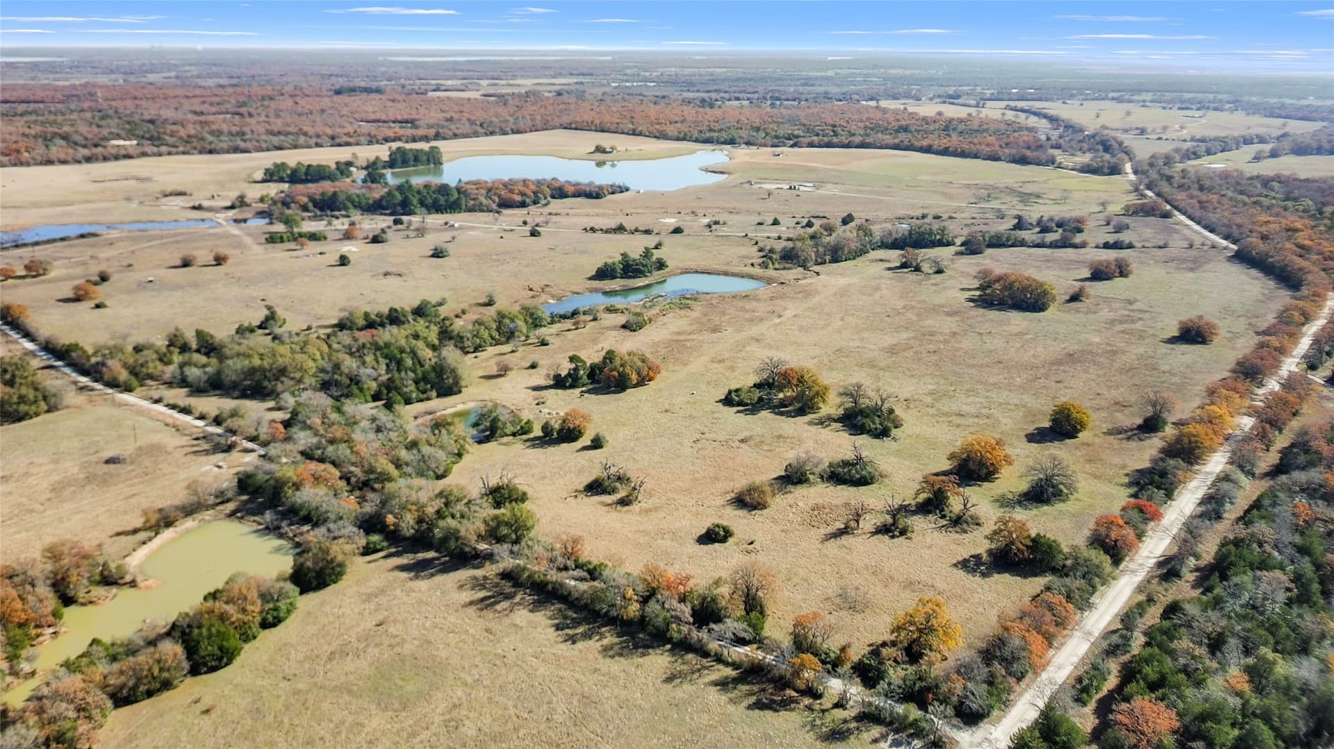 151.6 acres in Limestone County - photo 15