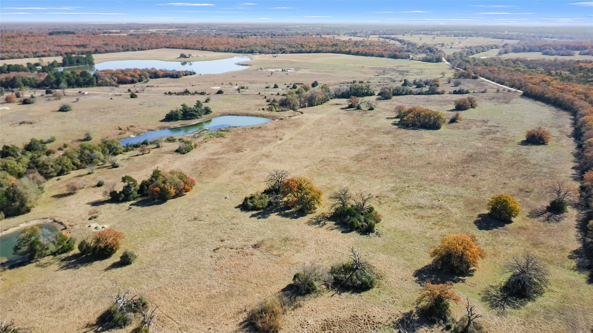 151.6 acres in Limestone County - photo 16