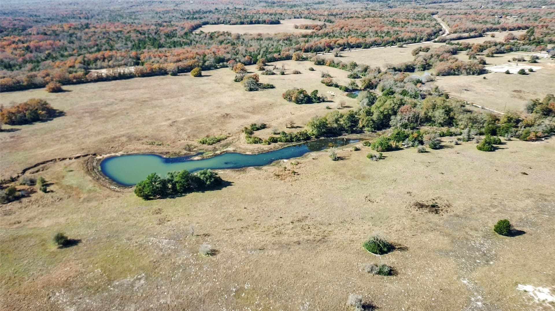 151.6 acres in Limestone County - photo 14