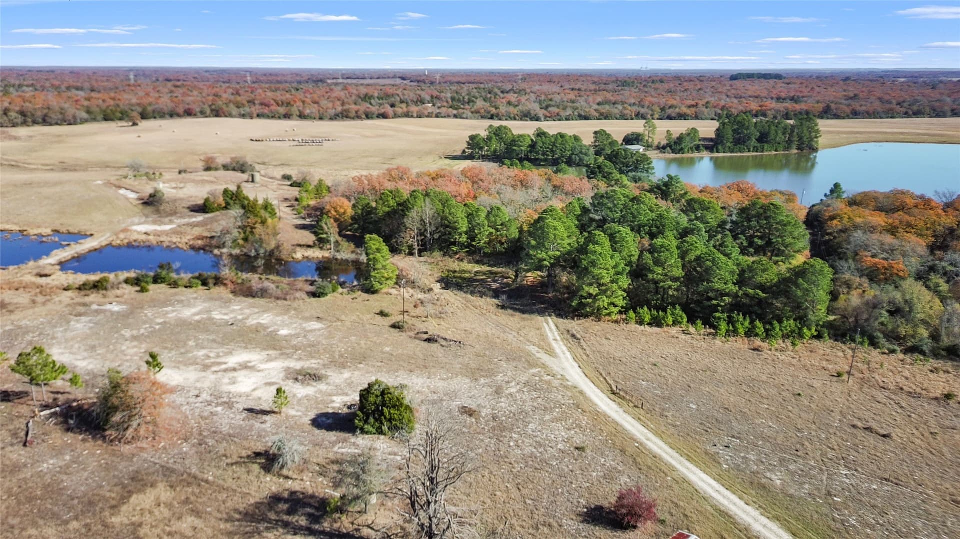 151.6 acres in Limestone County - photo 17