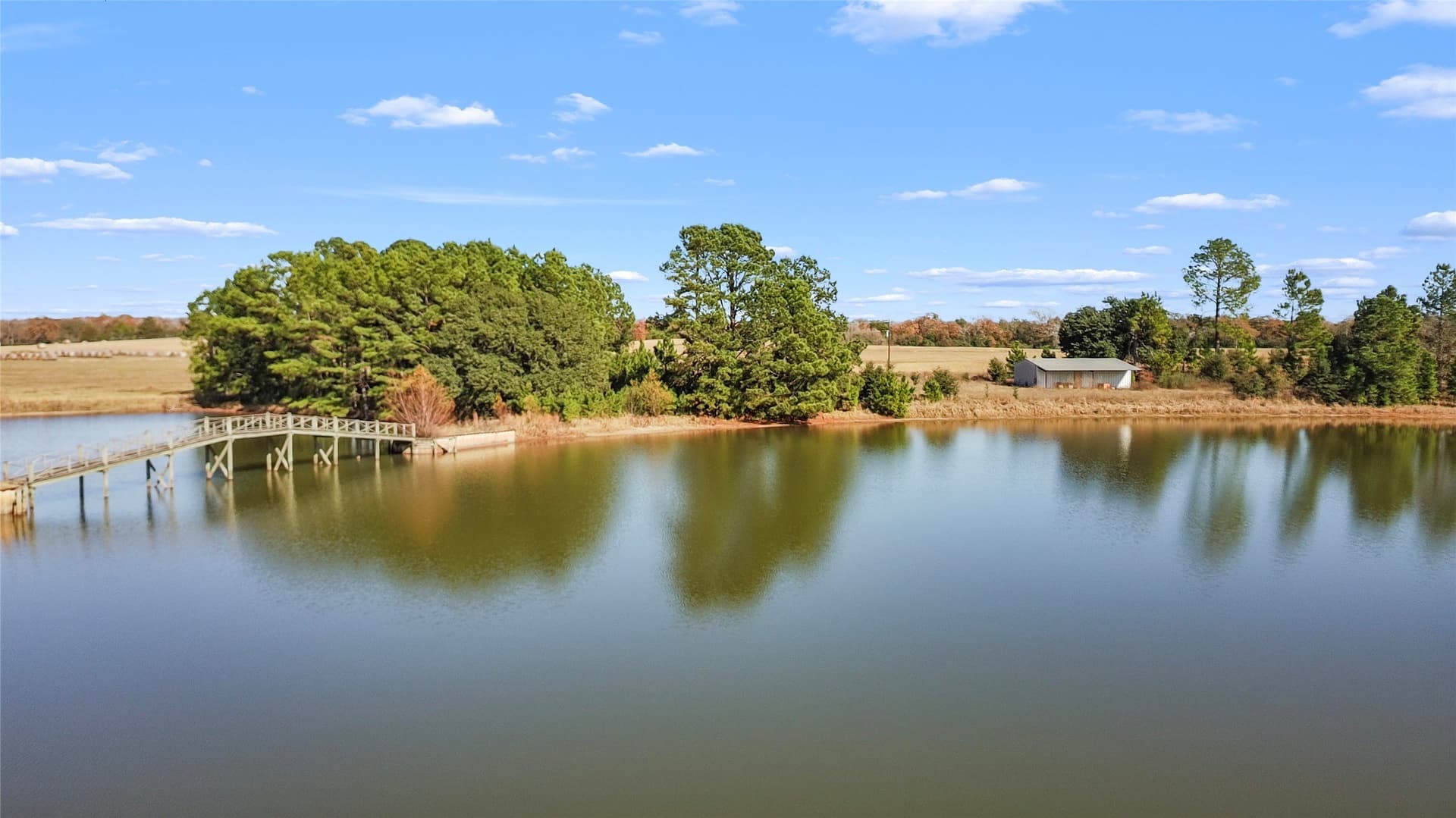 151.6 acres in Limestone County - photo 8
