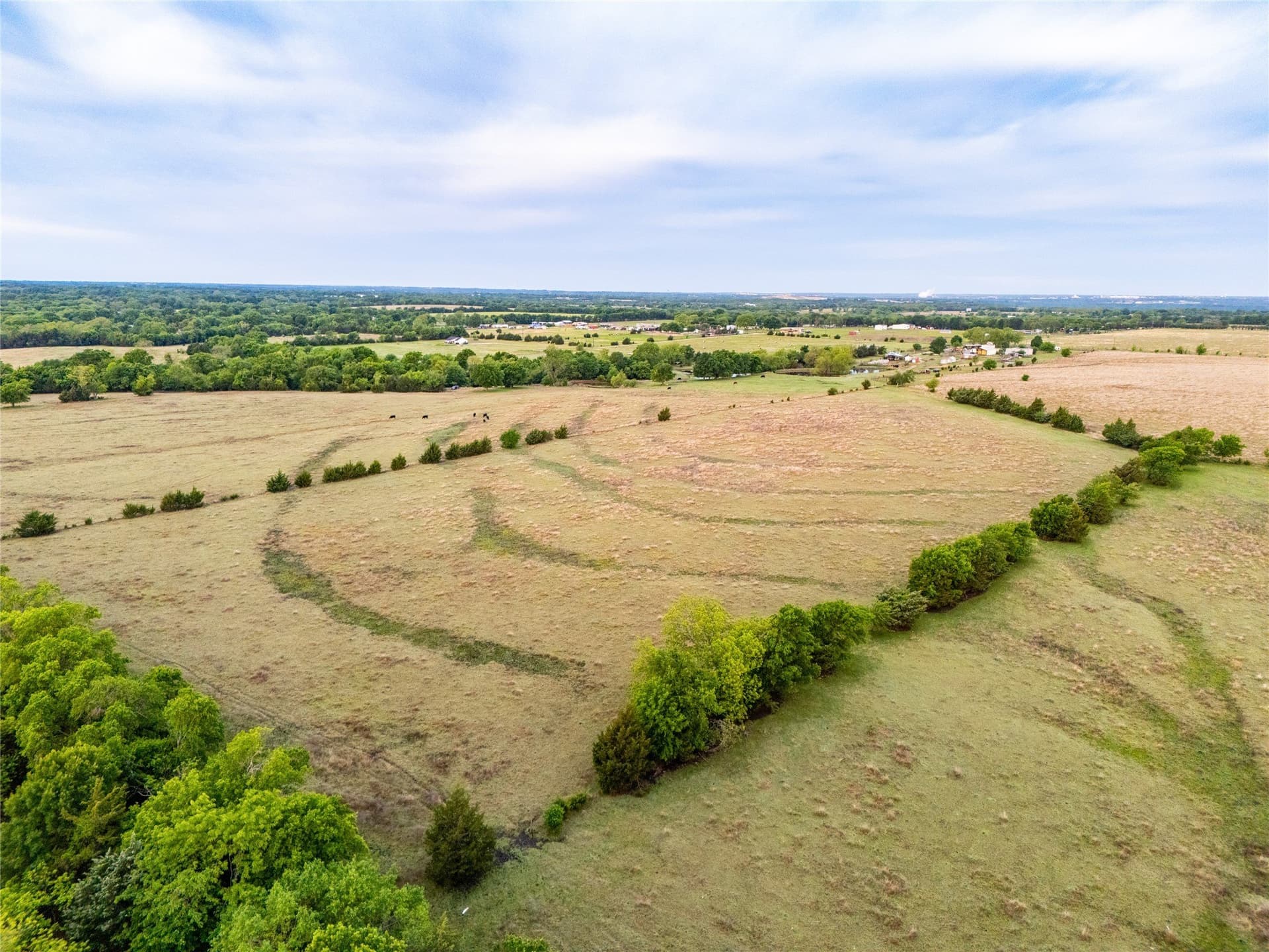 68.5 acres in Grayson County - photo 9