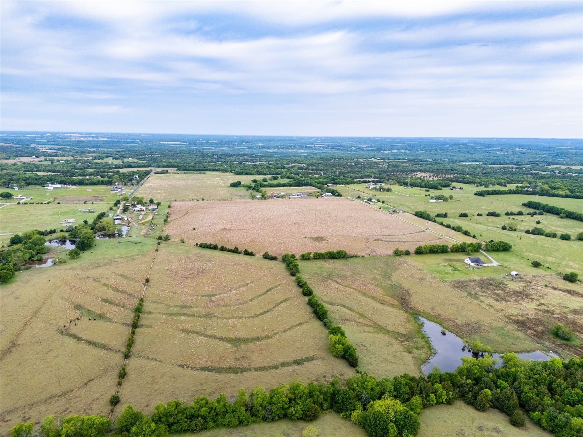 68.5 acres in Grayson County gallery image 2