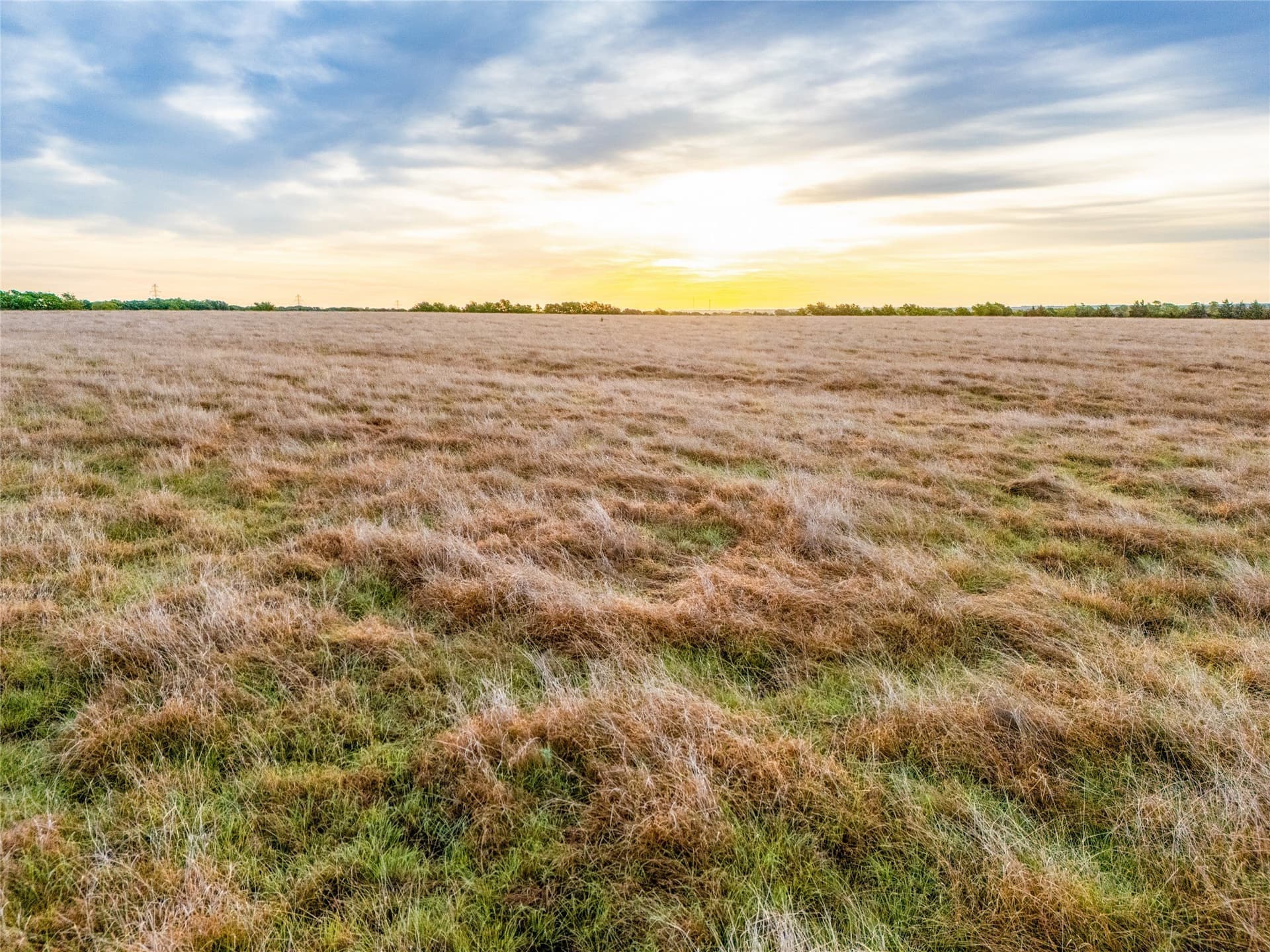68.5 acres in Grayson County - photo 13
