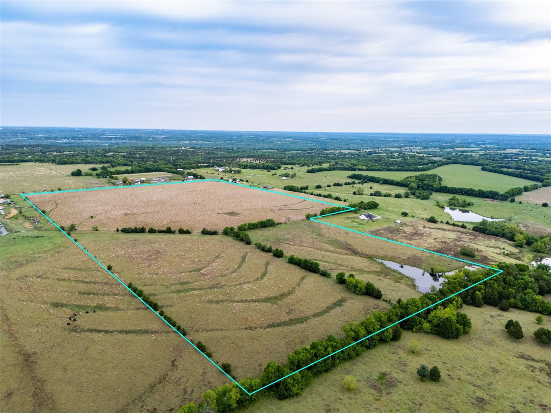 68.5 acres in Grayson County - photo 15