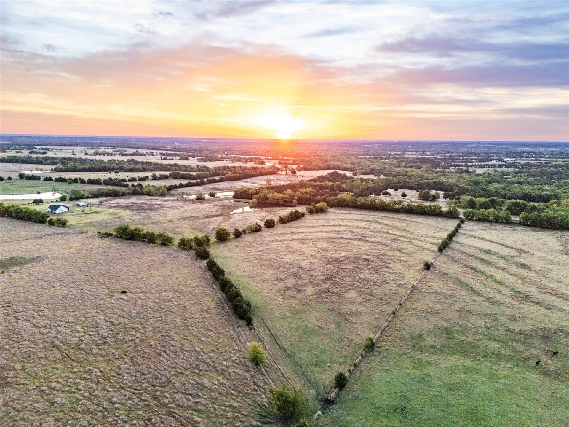 68.5 acres in Grayson County gallery image 3