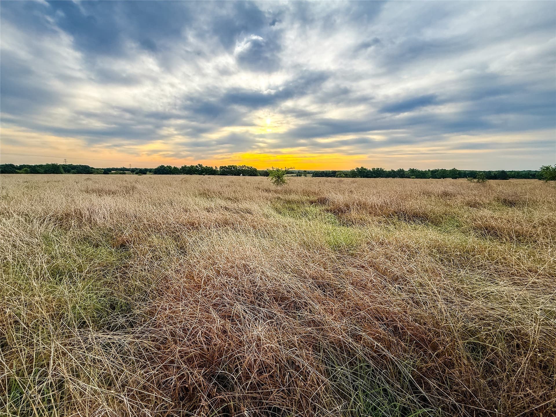 68.5 acres in Grayson County - photo 14