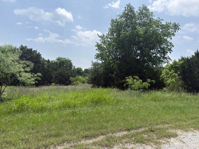 0.64 acres in Hill County gallery image 2