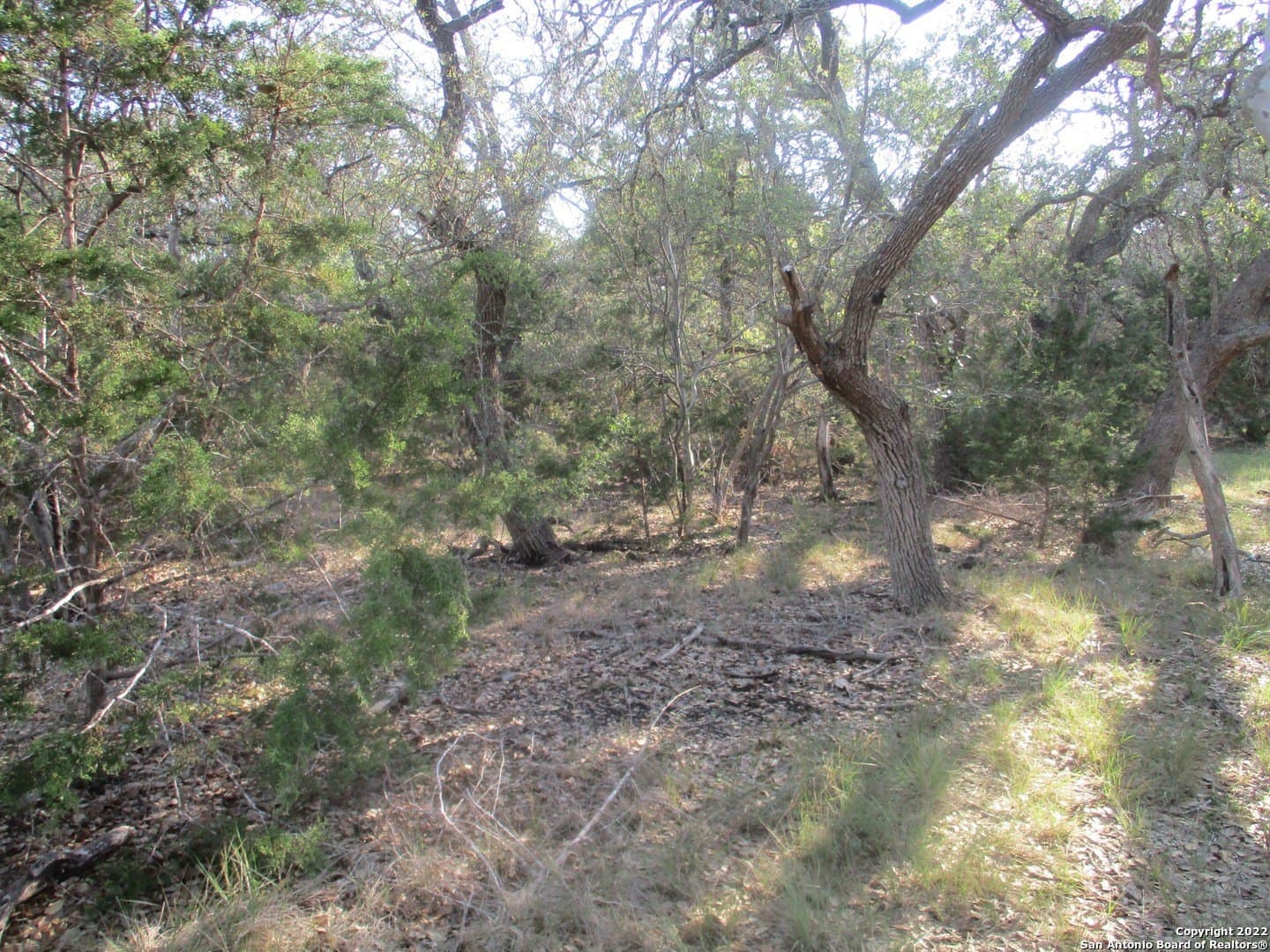 1.02 acres in Comal County - photo 8
