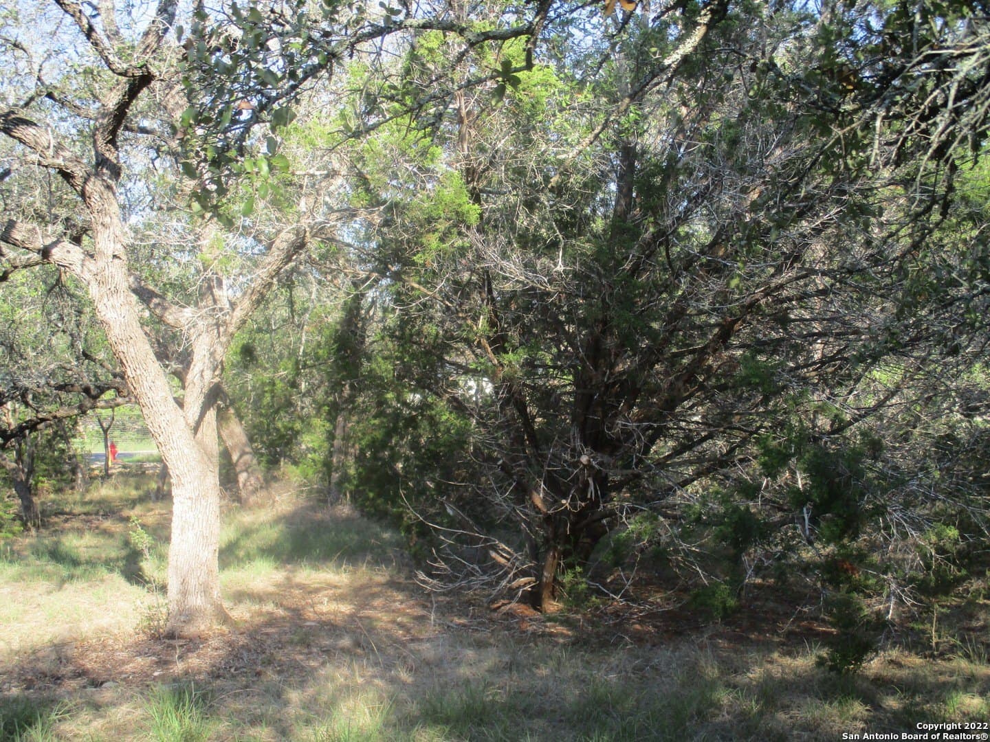 1.02 acres in Comal County - photo 11