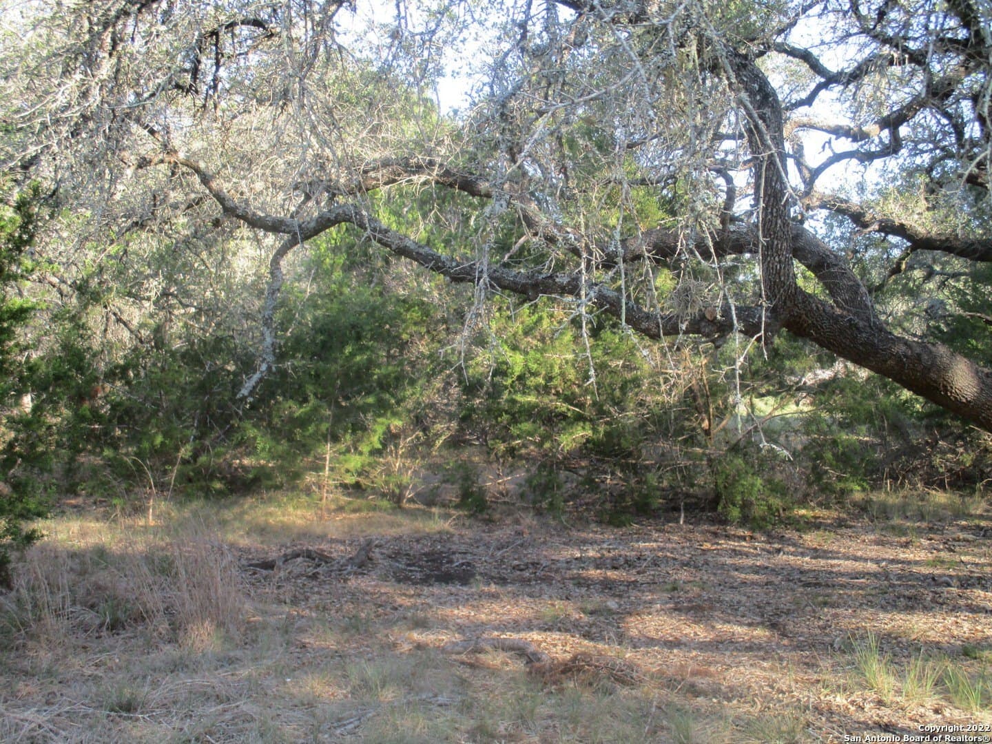 1.02 acres in Comal County - photo 14